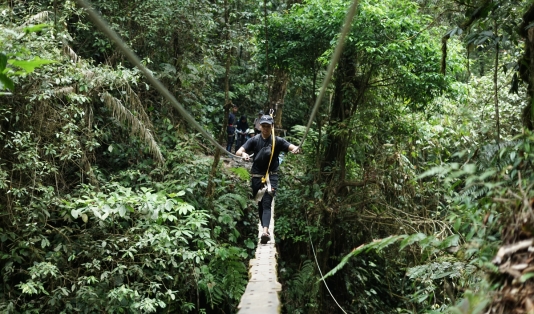lembah purba suspension bridge