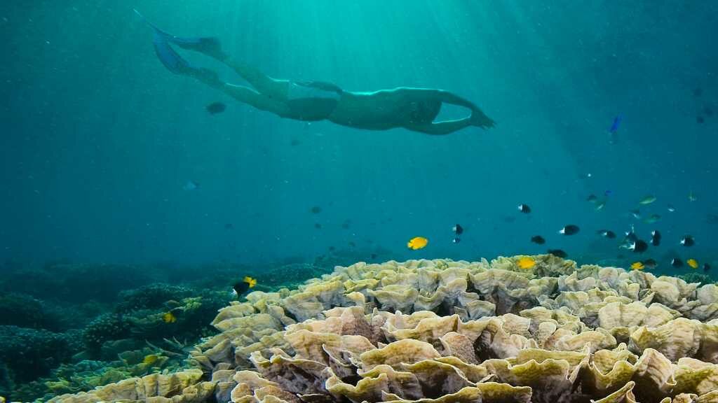 pulau pahawang, lampung, taman nemo, pulau pahawang besar, pulau pahawang kecil, kelagian besar, kelagian kecil,