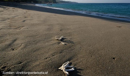 Alunan Merdu Alam Pantai Senggigi dan 5 Aktivitas Serunya 1 Pantai Senggigi, Keindahan Alam Pulau Lombok yang Menawan