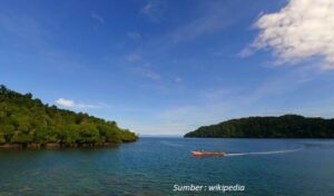 Lokasi Teluk Wondama