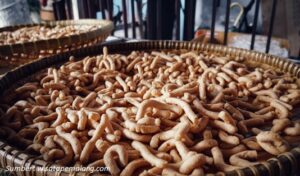 Oleh-oleh Makanan Khas Pemalang Jateng