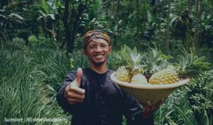 Oleh-oleh Makanan Khas Pemalang Nanas Madu