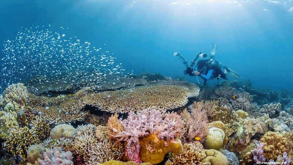 Bareng Pigijo, Modal 3 Jutaan Bisa Jelajahi Surga Dunia di Wakatobi!