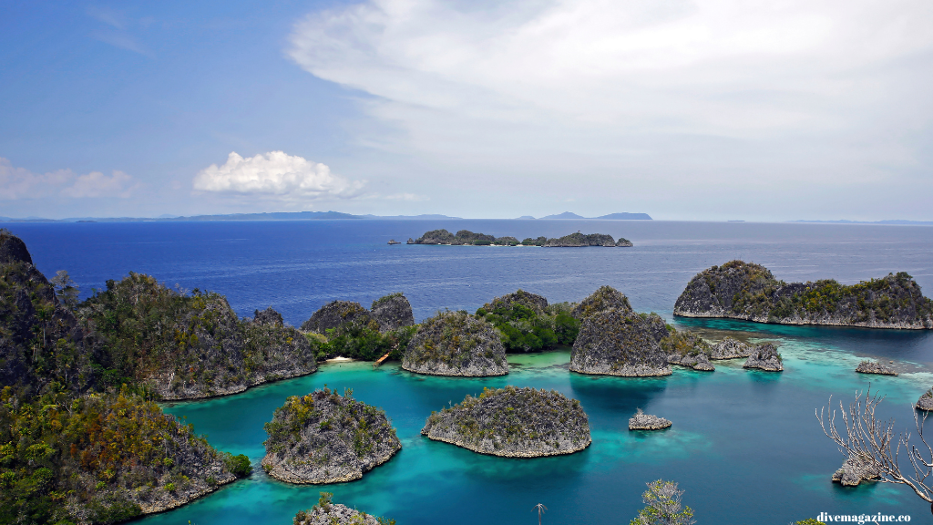 raja ampat, pigijo,