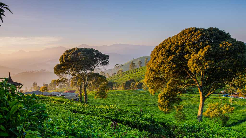 Mau Healing Tanpa Bikin Dompet Kering? Ke Taman Langit Pangalengan Aja! sunrise pangalengan, pangalengan,