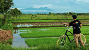 desa bilebante, ntb,