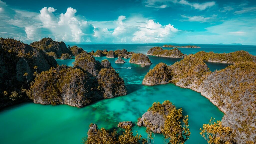 Geopark Raja Ampat