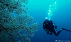 mari mabuk, wakatobi, sulawesi,