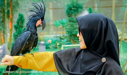 Jam Buka Central Park Zoo Medan