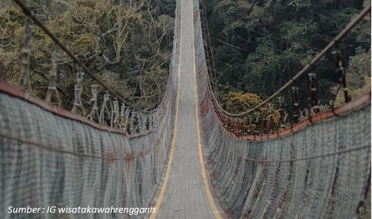 Jembatan Rengganis Kawah Rengganis Ciwidey
