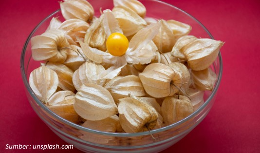 Bikin Terkesan, Ini 5 Manfaat Buah Ciplukan Bagi Kesehatan 2 Kandungan Buah Ciplukan