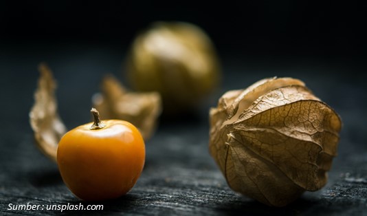 Bikin Terkesan, Ini 5 Manfaat Buah Ciplukan Bagi Kesehatan 4 Manfaat Buah Ciplukan Mempercantik Wajah