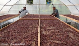 Memprioritaskan Produk Lokal Indonesia 
