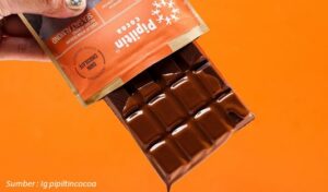 Pipiltin Cocoa Cokelat Lokal Indonesia