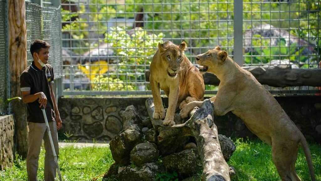 wahana permainan di Central Park Zoo Medan