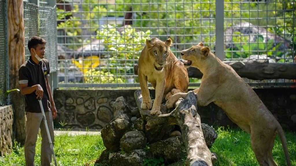 wahana permainan di Central Park Zoo Medan