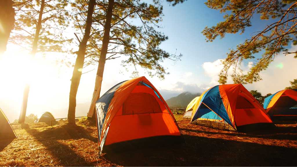 Tempat Camping Ramah Anak di Bandung