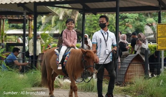 Lokasi Branchsto Equestrian Park