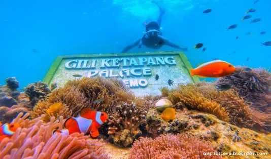 pantai probolinggo, gili ketapang,
