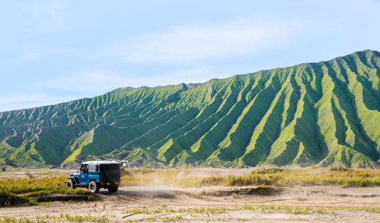 bromo, tnbts,