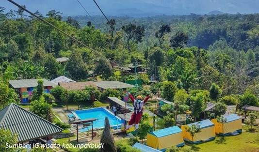 Aktivitas Menarik di Kebun Pak Budi