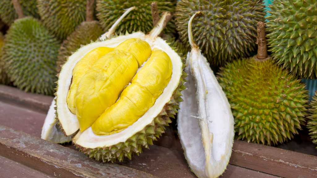 Konsumsi Durian Harus Sesuai Kondisi, Ini Manfaat dan Efek Sampingnya durian,