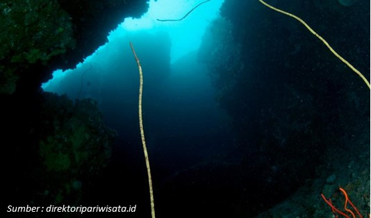 Hidden Gem Ambon Gua Hukurila