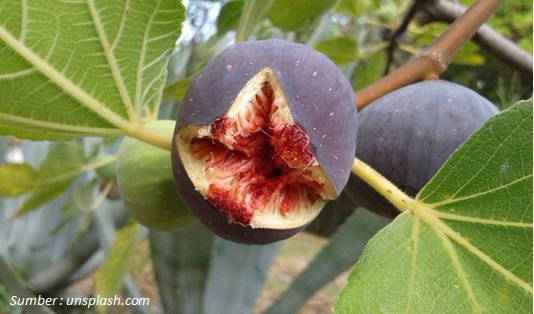 Khasiat Buah Tin