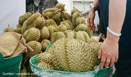 Konsumsi Durian Harus Sesuai Kondisi, Ini Manfaat dan Efek Sampingnya 2 Manfaat Durian