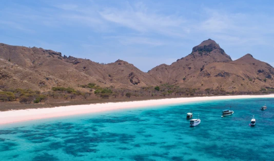 pink beach labuan bajo, taman nasional komodo,