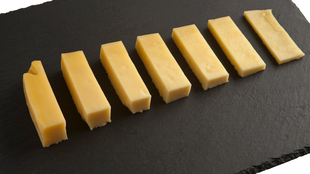 Mikroorganisme Pembuatan Keju