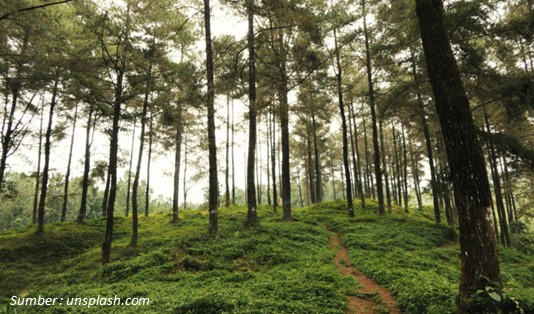 Wisata Jonggol yang lagi hits