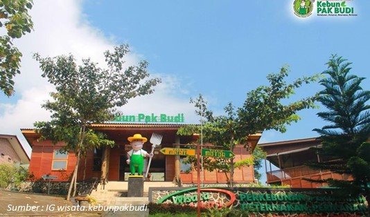 Wisata Kebun Pak Budi