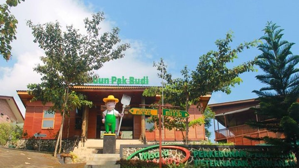 Wisata Kebun Pak Budi