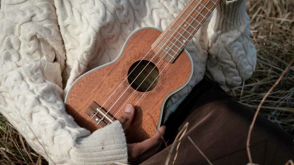 4 Cara Tentukan Ukulele yang Berkualitas dan Pas