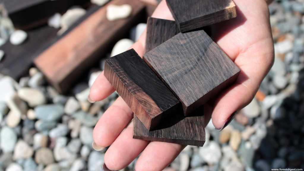kerajinan kayu hitam palu,