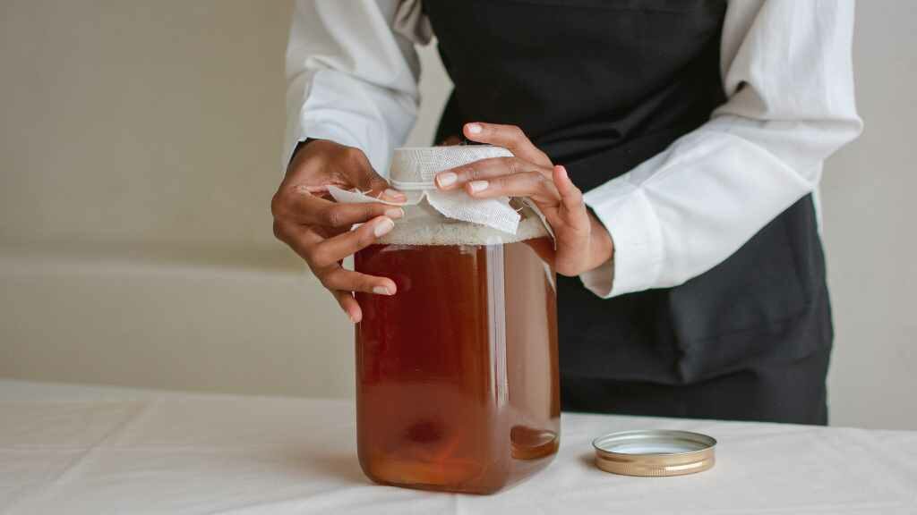 kombucha,