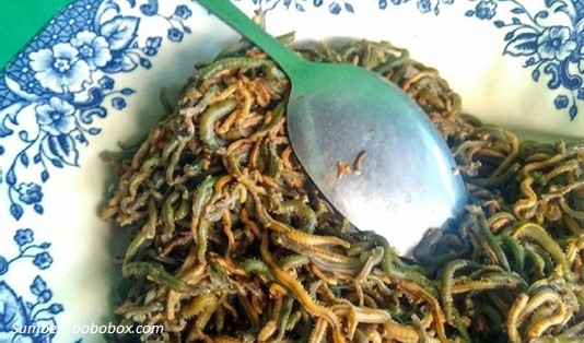 Makanan khas Sumba Bokosawu Nyale