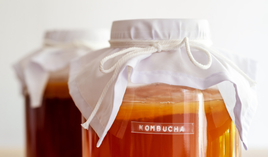 kombucha, manfaat kombucha,