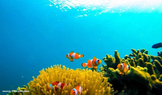 4 Spot Wisata Pulau Pahawang, Maldives Versi Indonesia! 5 Wisata Pulau Pahawang,