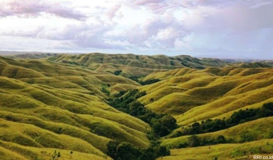 sumba, bukit warinding, wisata sumba,