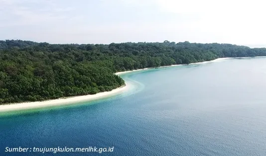 Ikut Open Trip Pulau Peucang Bikin Gak Mau Pulang! 1 Aktivitas Menarik di Pulau Peucang