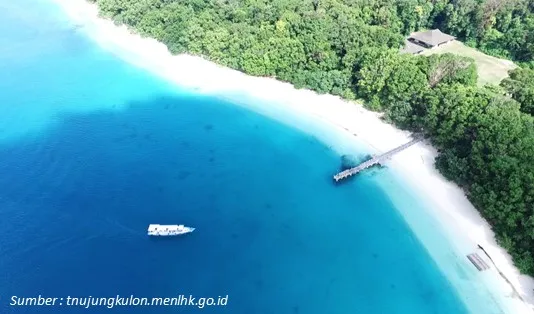 Ikut Open Trip Pulau Peucang Bikin Gak Mau Pulang! 2 Lokasi Pulau Peucang