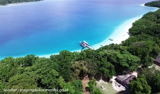 Ikut Open Trip Pulau Peucang Bikin Gak Mau Pulang! 4 Open Trip Pulau Peucang