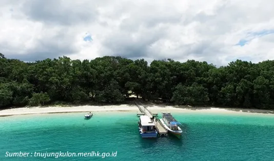 Ikut Open Trip Pulau Peucang Bikin Gak Mau Pulang! 3 Rute ke Pulau Peucang