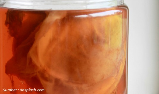 Alternatif Kopi agar Tidak Ngantuk Kombucha