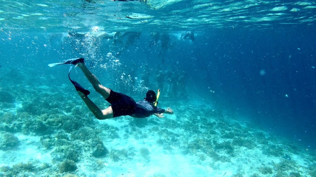 Ikut Open Trip Pulau Peucang Bikin Gak Mau Pulang! Ikut Open Trip Pulau Peucang Bikin Gak Mau Pulang!