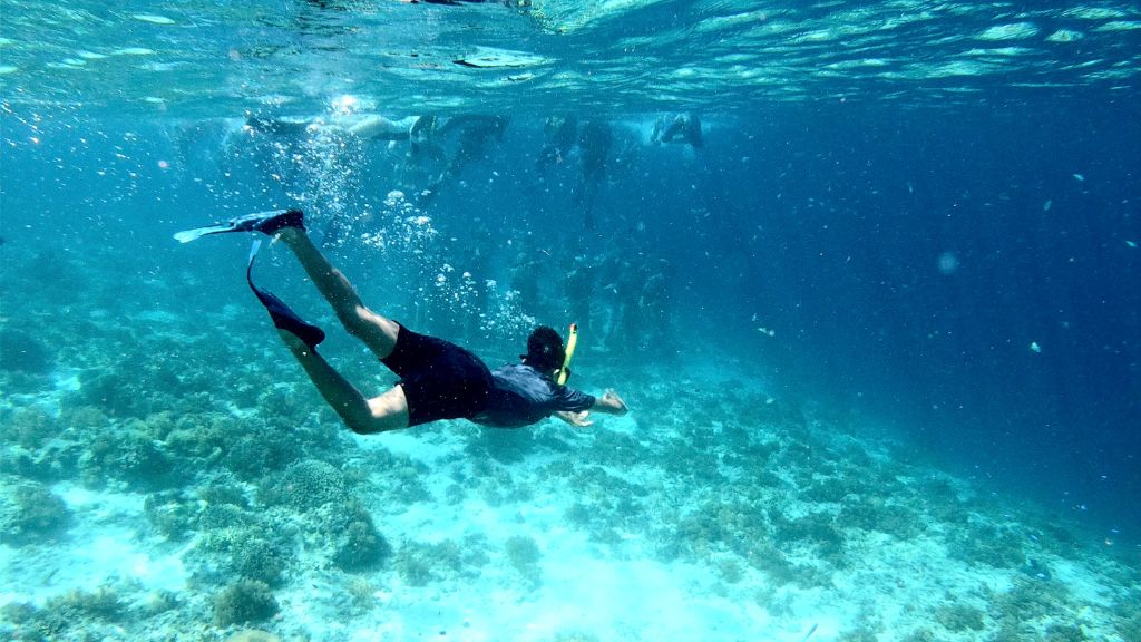 Ikut Open Trip Pulau Peucang Bikin Gak Mau Pulang! Ikut Open Trip Pulau Peucang Bikin Gak Mau Pulang!