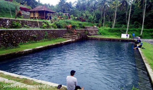 Manfaat Wisata Terapi Ikan