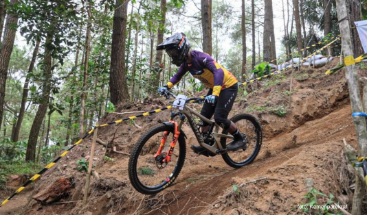 bob downhill,